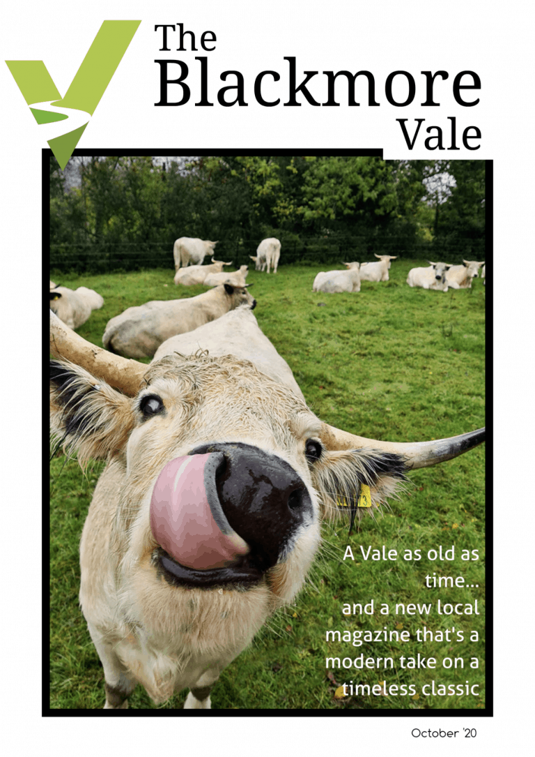 October edition of The Blackmore Vale is out now!