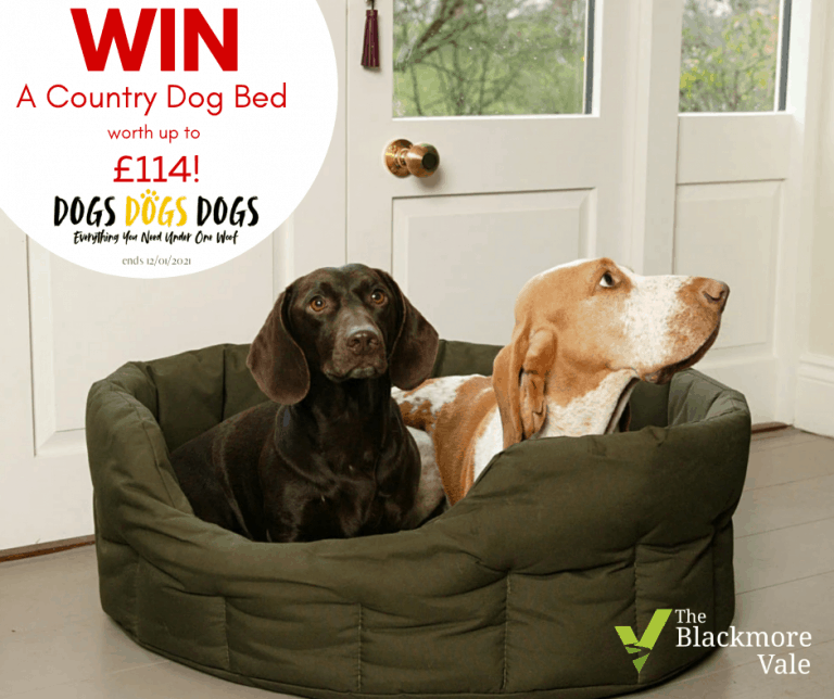 Win a Country Dog Waterproof Dog Bed – worth up to £114!