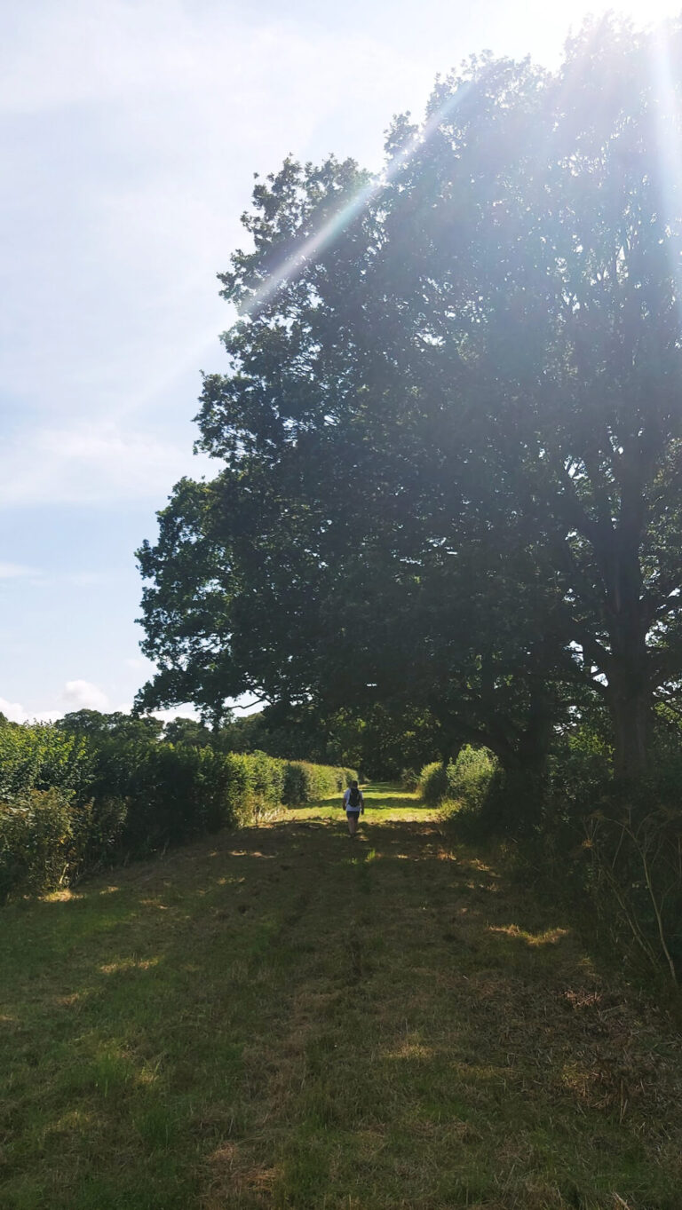 walk near Sherborne