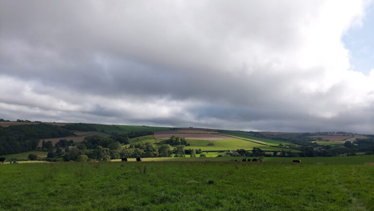 Pretty West Dorset walk through the quiet AONB below Eggardon Hill | 6.6 miles