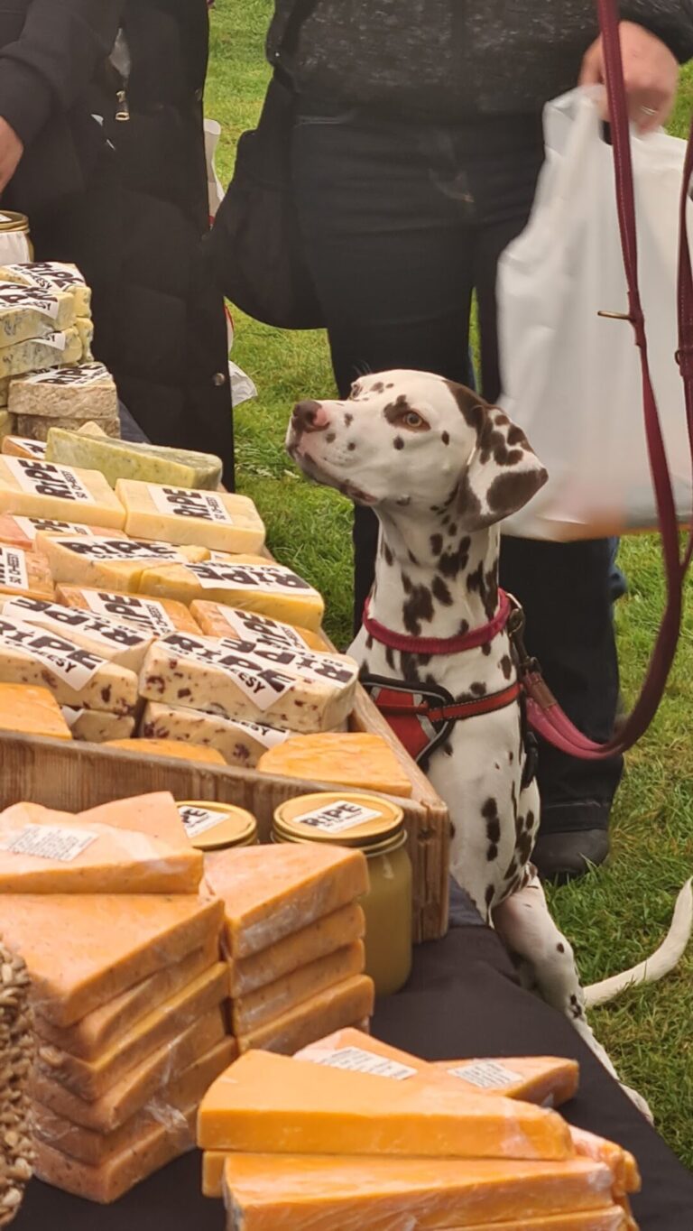 Crowds flock to the first Dorset Spring Show