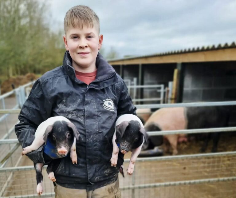 Seb the 13 year old pig breeder and Jess on balancing books and bridles