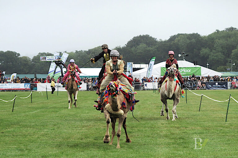 The Gillingham & Shaftesbury Show 2024!